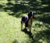 July4th2011 282